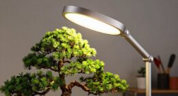 top bonsai grow lights