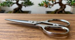 top bonsai scissors 2026