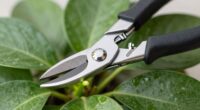 top houseplant pruning tools