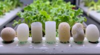 top hydroponic air stones