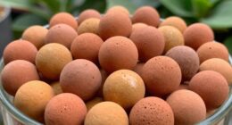 top hydroponic clay pebbles