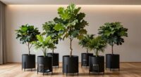 top large indoor plant pots