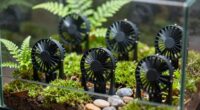 top mini fans for terrariums