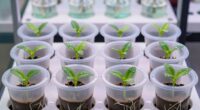 top net pots for hydroponics