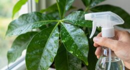 top non toxic leaf cleans