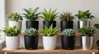 top smart planter picks