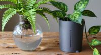 watering globes vs reservoirs