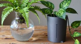 watering globes vs reservoirs