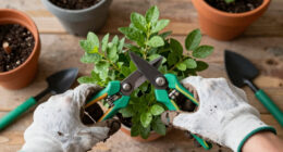 13 Best Garden Plants in 2026