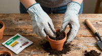 15 Best Flower Seeds in 2026