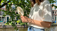 From mobile jungles to shadow art: how Dutch people try to beat the heat