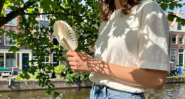 From mobile jungles to shadow art: how Dutch people try to beat the heat