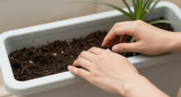 15 Best Container Garden Planters in 2026