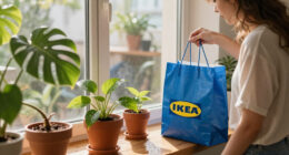 14 Best IKEA Houseplants for 2026