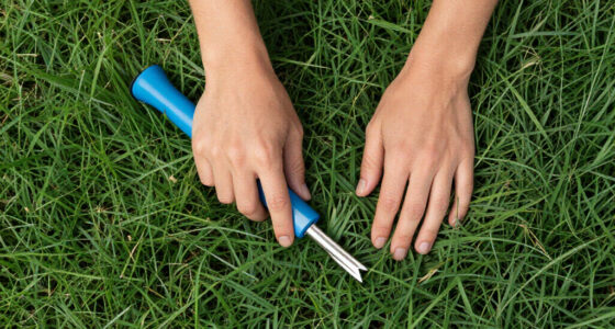 15 Best Lawn Fertilizers for 2026