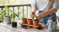 9 Best Herb Propagation Kits for Growing Indoors in 2026