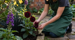 11 Best Gothic Garden Plants for Dark, Dramatic Beds in 2027