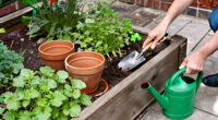 12 Best Garden Tools for Tight Spaces in 2027