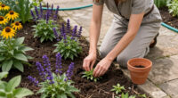 15 Best Perennial Garden Plants for Color and Long-Term Beauty in 2027